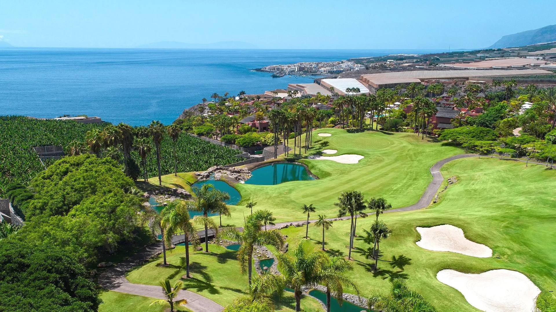 Aerial view of a seafront golf course among palm trees in Tenerife